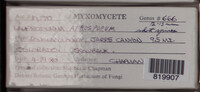 Image Associated With the Occurence